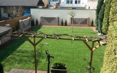 Martin Kauers | Lahnstein