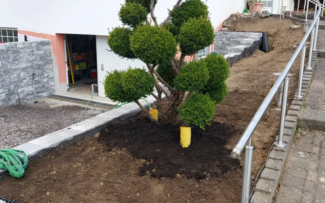 Wege-, Mauern- und Beeteinfassungen