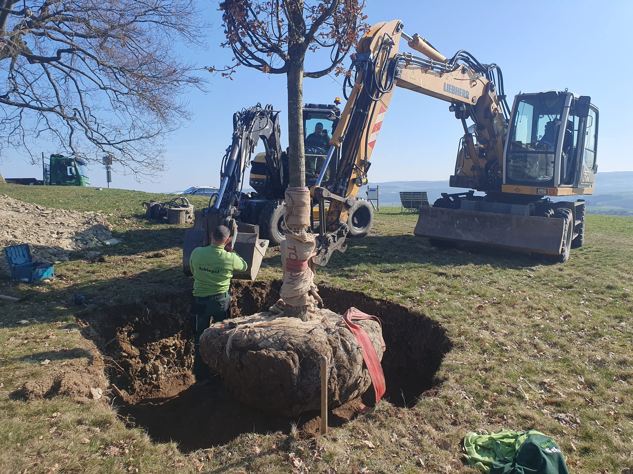 Großbaumpflanzung in Dachsenhausen
